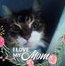 Beth Jamieson - Facebook