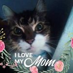 Beth Jamieson - @jamieson5451 - Instagram