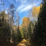 Beth Jansen Yeh - @upnorthbeth - Instagram