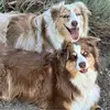 Beth Commer Jaramillo - @beth.commer.jaram - TikTok