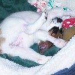 Beth Jarrett - @jarrettbeth - Instagram