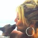 Beth Jasper - @chihuahuaho - Instagram