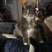Beth Jeffries - Facebook