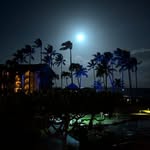 Beth Jensen - @bethjensen429 - Instagram