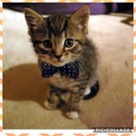 Beth jensen - @bethjensen2387 - Instagram