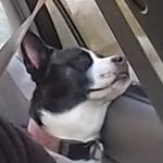 Beth Jonas - @beth.ann.jonas.54 - Instagram