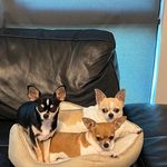Beth Katz Melamed - @w8untildrk - Instagram