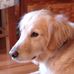 Beth Kaylor - Facebook