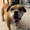 Mary Beth Kaylor - @mary.beth.kaylor - TikTok