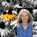Elizabeth Kennard - Facebook