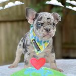 Beth Kennelly Tebeau - @btebo27 - Instagram