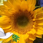 Beth Kenney - @b.kenney - Instagram