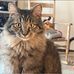 Beth Kenney - Facebook