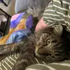 bethkenney795 - @bethkenney795 - TikTok
