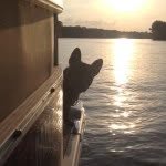 Betsy Rosol Kepner - @louiesworld - Instagram