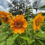 Beth Kern - @kayakgirl1974 - Instagram