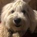Beth Lynn Luukkonen Kern - Facebook