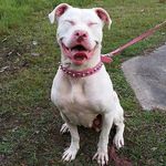 Beth Kerns - @bethkerns850 - Instagram