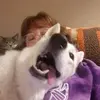 bethkrzy - @bethkrz - TikTok