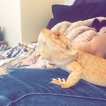 Beth Ketterer & Friends - @darling_kritters - Instagram