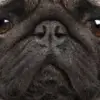 bethketterer8 - @bethketterer8 - TikTok