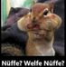 Elisabeth Kettner - Facebook