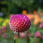 Beth Khan - Facebook
