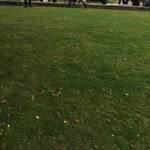 @eliza_bethkhan - Instagram