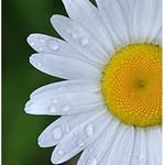 Beth Kieffer Aubitz - @enochianlingo - Instagram