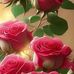Beth Killough - Facebook