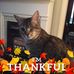 Elizabeth Killough - Facebook