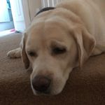 Beth Kilpatrick - @bethybookilpatpony - Instagram