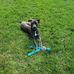 Beth Kimber - Facebook