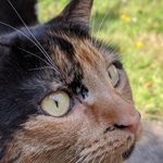 Beth Kimber - @beth.from.above - Instagram