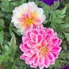 Beth Kimble Varnes - @user2940032777168 - TikTok