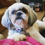 Betty Ann Kinard - @bettyannkinard - Instagram