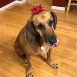 Beth Wenstrup Kindt - @bethkindt - Instagram