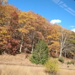 Beth Kistler - @beth.kistler.75 - Instagram