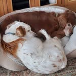 Beth Kitchen Menhennick - @bmenhennick - Instagram
