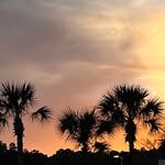 Beth Cordell Pieratti - @bethkittrellgmailcom - Instagram