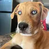 Elizabeth Kittrell - @lizzie41183 - TikTok