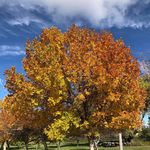 Beth Kizer - @bethkizer65 - Instagram