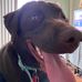Beth Kline - Facebook