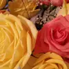 bethklug643 - @bethklug643 - TikTok