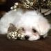 Beth Nobbe - Facebook