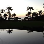 Beth Knoll - @bethknoll1 - Instagram