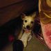 Elizabeth Knouff - Facebook