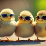 Beth Pufahl Knutson - @bknutson3 - Instagram
