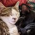 Beth Koehler - Facebook