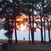 Beth Kohn - Facebook